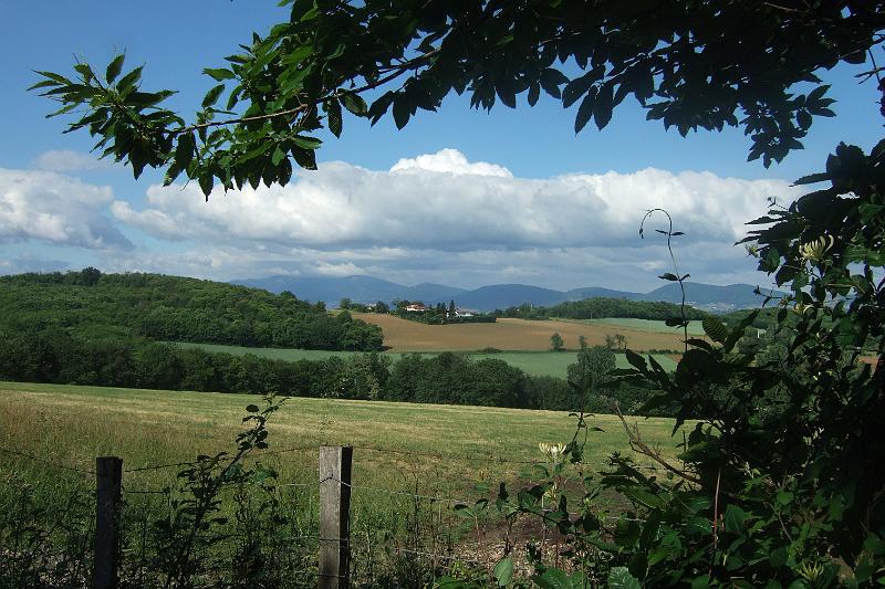 2011-05- (524).JPG